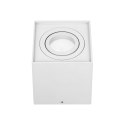 CAROLIN DLS GU10 downlight max 7W, IP20, kwadrat, biały