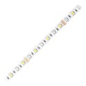 Taśma LED 12V, Samsung chipset 5050, 60L/m, 330lm/m, 14,4W/m, IP20, RGBW, 5m
