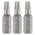 Bity Torx T25 x 25 mm, 3 szt.