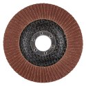 Ściernica listkowa 115 x 22.2 mm, P120