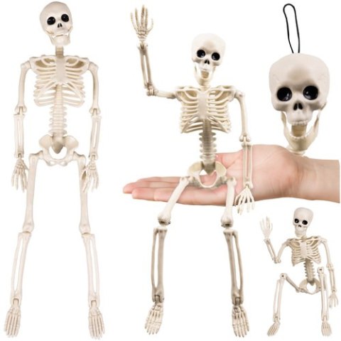 Szkielet - dekoracja 40cm Ruhhy 26027