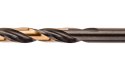 Wiertło do metalu HSS-CNC, 124°, "Pro-Tec", 4.2 mm
