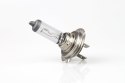 Żarówka halogenowa h7 24v 70w filtr uv (e8) amio-01252